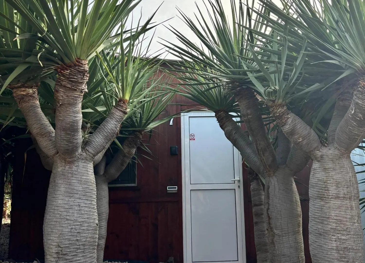 Camping Invernaderito Tejina Spagna